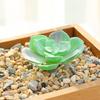 Fleshy Simulated Succulent Flocking Home Plant Flower Head