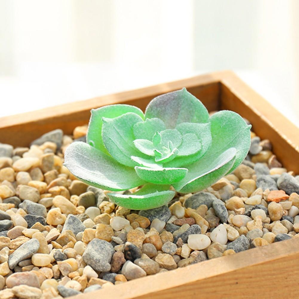 Fleshy Simulated Succulent Flocking Home Plant Flower Head
