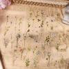 Waterproof Transparent Floral Stickers - Creative DIY Decorative Plant Stickers for Students