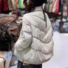 Two-button long-sleeved winter new simple and versatile fashion outer wear white duck stand-up collar down jacket women's short coat