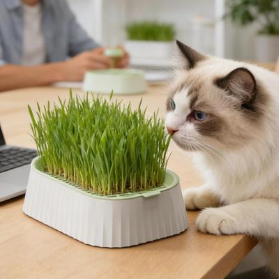 Cat Grass Planter Compact Non-Slip Bottom Tray Cat Grass Growing Kit for Indoor Outdoor Home Countertop Pet Kitten Family