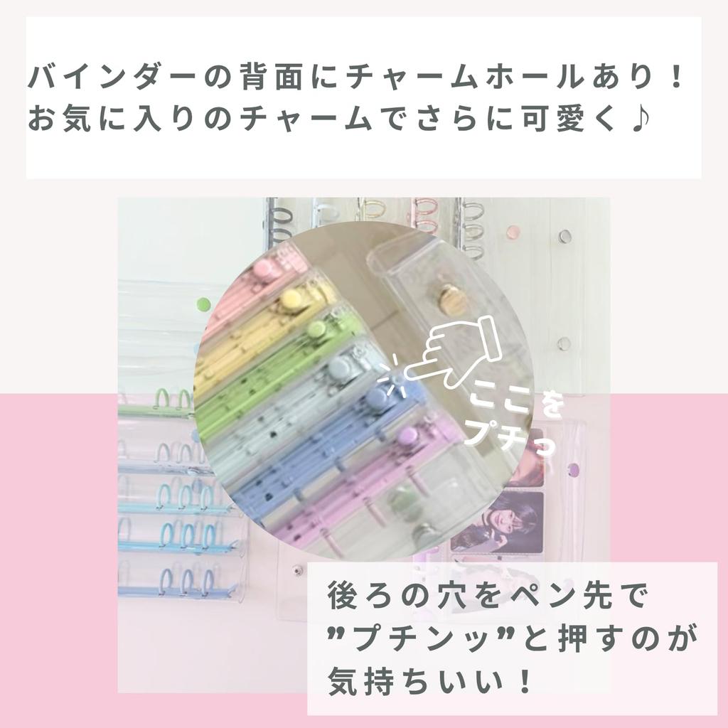 Large Transparent Girl Sticker Book, A6 Size, Clear Removable Stickers, Binder, ReiwaHeisei Era Sticker Book Binder, 6-Ring File, 18.5cm x 13.5cm