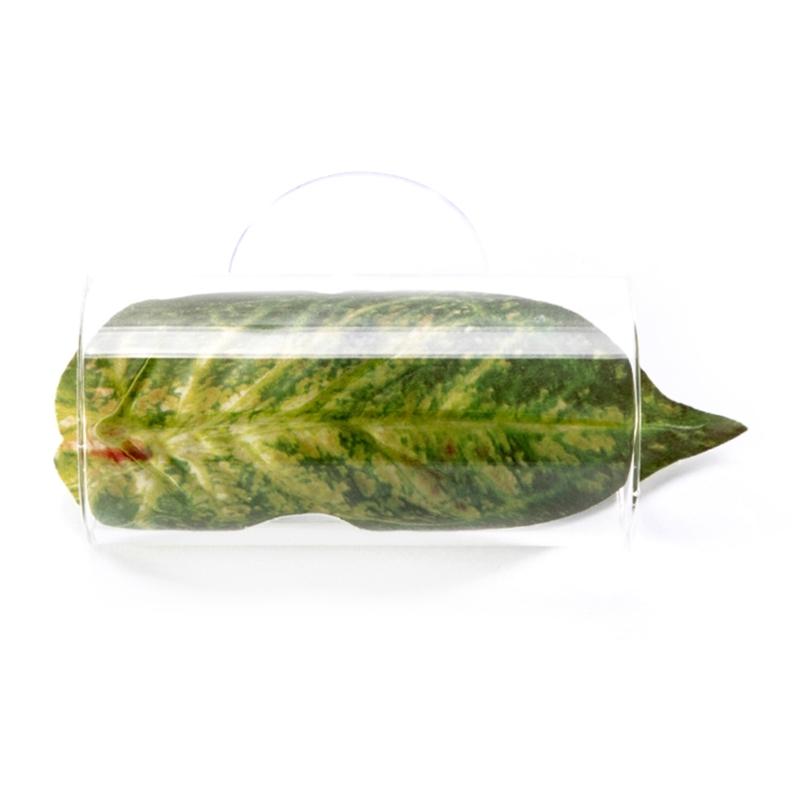 

Bettas Fishes Cave Small Fishes Hideaways Aquatic Bettas Tanks Ornaments for Limnetic and Saltwater Habitats