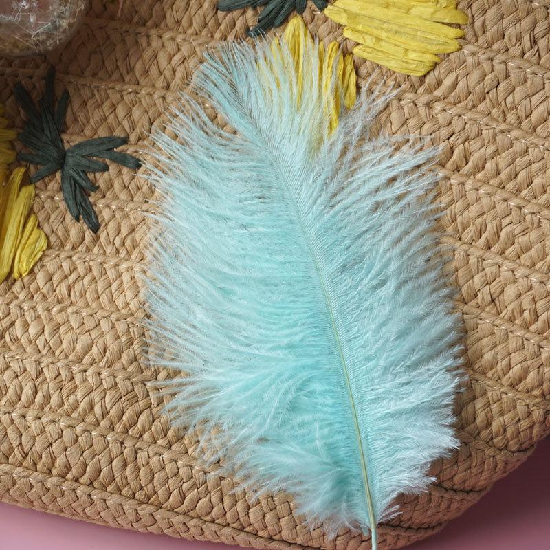Colored Ostrich Hair 15-20Cm Wedding Ornament Wall Decoration Feather Wall Hand Bouquet Diy Dream Catcher Material