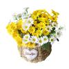 Handcrafted Willow Wicker Flower Basket for Dried Arrangements and Succulents