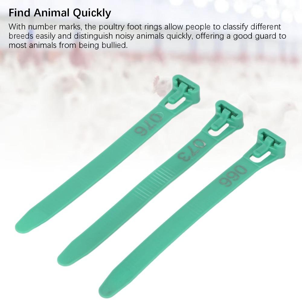 100Pcs Sturdy Chicken Leg Bands PP Poultry Leg Bands Chicken Leg Rings  Poultry Management зелёный