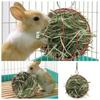 Round Rabbit Grass Feeder Wear-resistant Hay Feeder Ball Suspending Feeder  For Small Pets