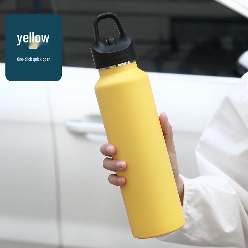 TingLe YC868 316 Stainless Steel Insulated Water Bottle