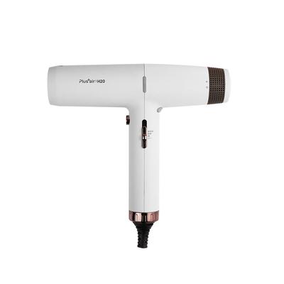 Hair Dryer H20 Warm Gray