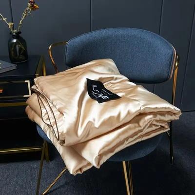 Summer Blanket Ice Silk Quilt Washable Cool Feeling Naked Sleeping Air Condition Thin Duvet Children Twin Queen Bedding
