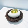 Creative INS Ceramic Eggshell Bird’s Nest Bowl – Ramen, Dessert & Snack Bowl