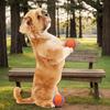 Non-Toxic Dog Toy Ball Dog Fetch Ball Toy Tough Pet Ball Puppy Chew Toy Solid Elastic Jumping Ball Pet Accessories For Large Medium Small