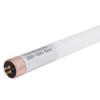 Becuri electrice – Becuri economice și fluoriscente