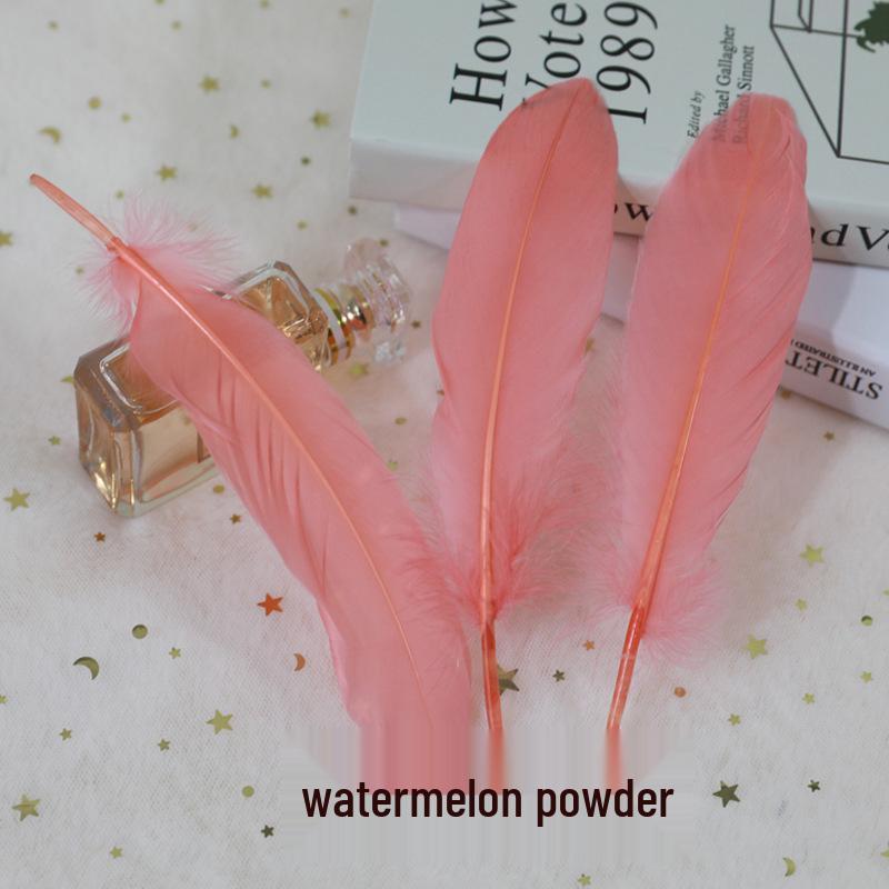 Barevná barvená velká husí pera pro DIY řemesla, ručně vyráběné dekorace a projekty pro mateřské školy