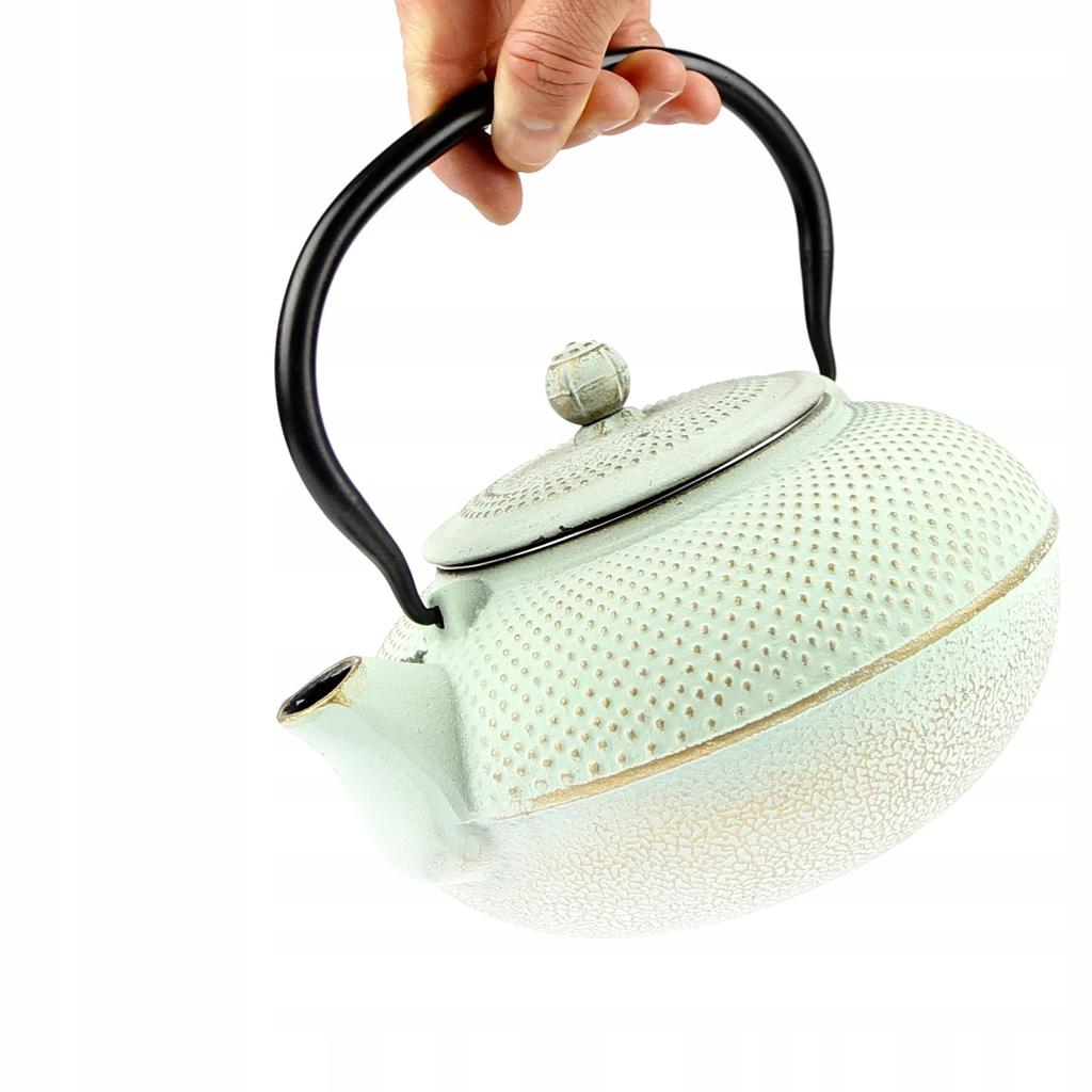 CAST IRON KETTLE 1.5L STEEL STRAINER INFuser for herbal tea