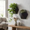 Fioriera da appendere a parete stampata in 3D Vasi da coltivazione a parete Vasca unica per piante succulente Balcone