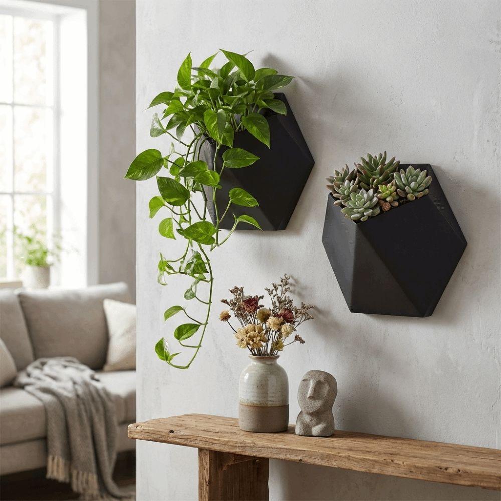 Fioriera da appendere a parete stampata in 3D Vasi da coltivazione a parete Vasca unica per piante succulente Balcone