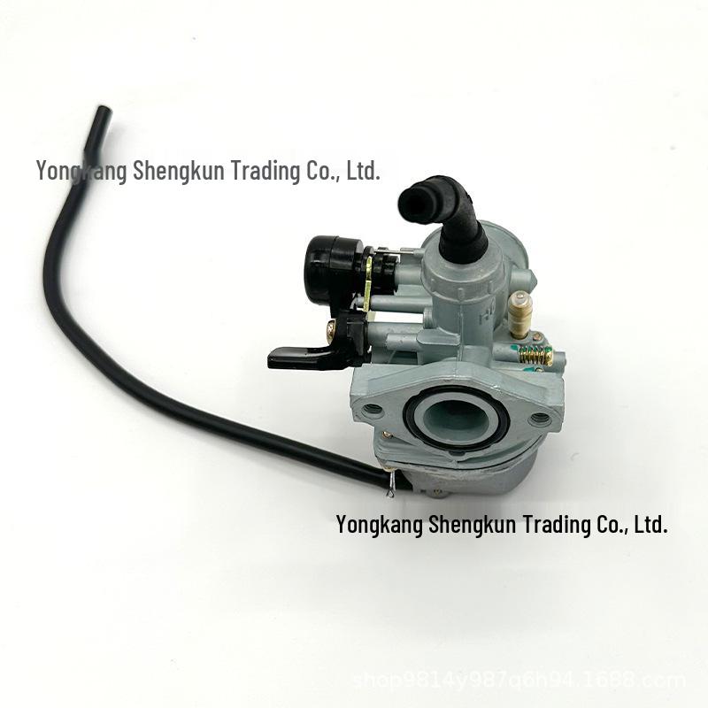 

90cc/125cc PZ19 Carburetor for ATV Beach Buggy Motorcycle, Semi-Zinc Aluminum Modification Parts 48mm