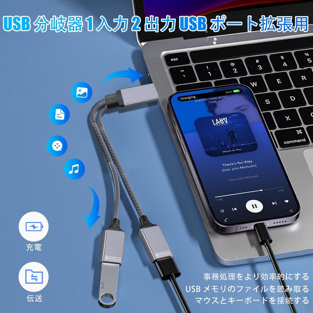 USB Splitter 1 Input to 2 Dual USB Port Power Data Charging Extension Adapter for 2025 and Newer Models 25cm Data and but Does Not Work with Cable,