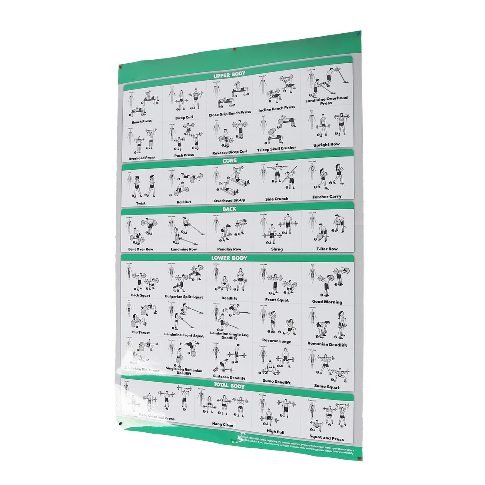 

60x90см Плакаты с упражнениями со штангой Тренировка Четкие Полноцветные Изображения Фитнес со штангой Домашний Спортзал Плакат