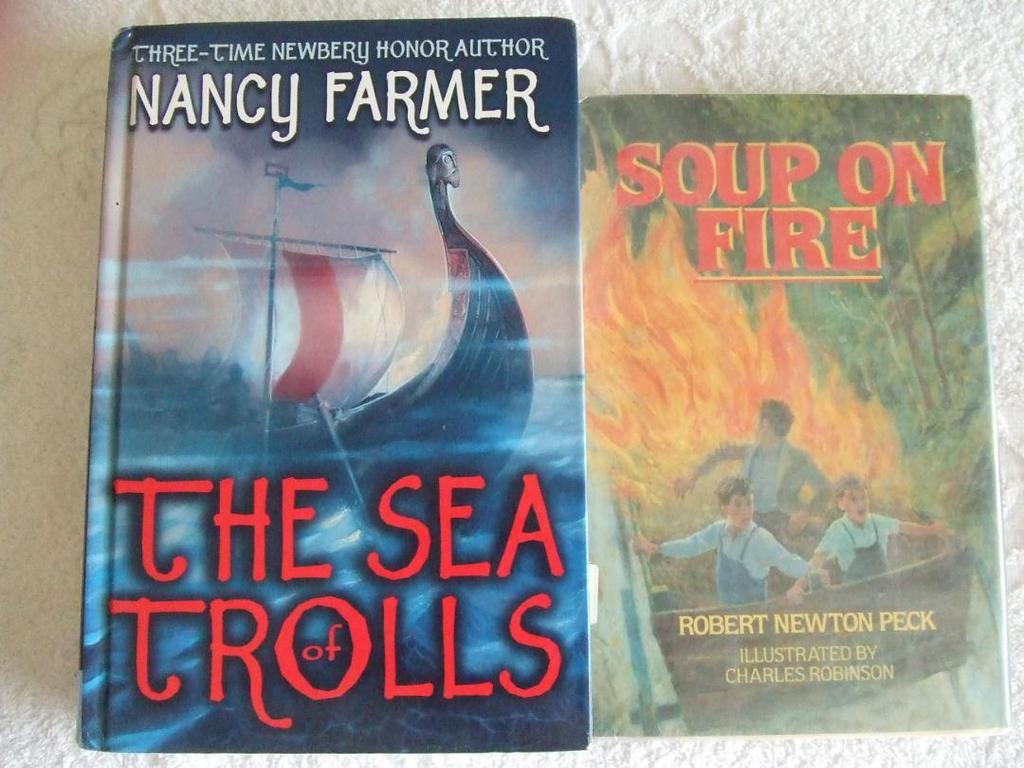 [USED] Large English book set of 8, unread