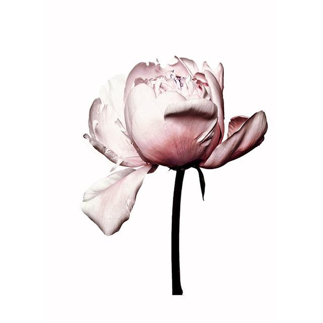 Flower Canvas Picture Wall Decoration Nordic Floral Prints Pink Rose Paintings for Home Design Modern Decoration for Home No Frame
