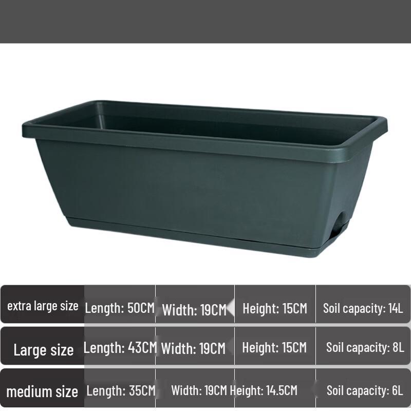 Cindyn Rectangular Rice Storage Container