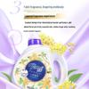 Bafei Osmanthus Fragrance Laundry Detergent