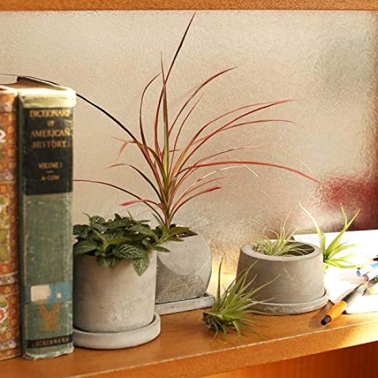 Dulton Cement Planter Round with Drain CEMENT POT ROUND Pot, Small, Type, Hole, G20-0219S