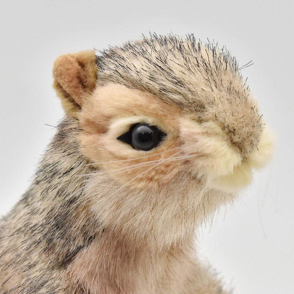 HANSA Gray Squirrel No.4841