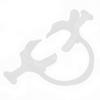 CShape Dental Cheek Lip Retractor Mouth Opener with Handle Dental Dentist Accessory(L )