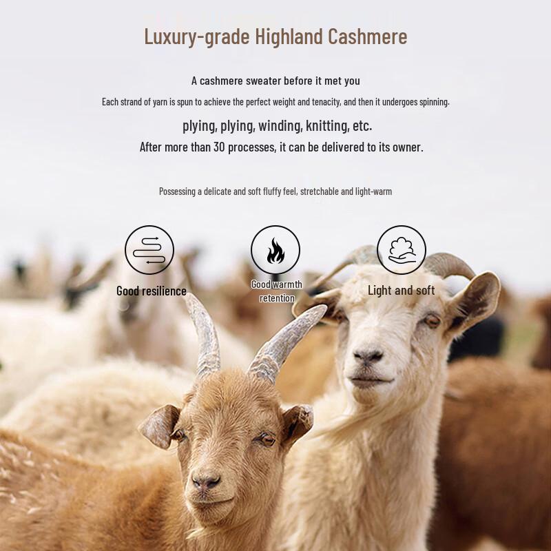 Romon Men's Lightweight Pure Cashmere High-Neck Sweater