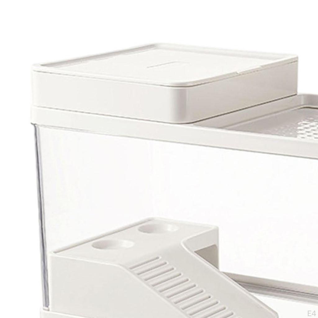 Aquarium Accessories for S, Transparent Multi-Function Drainage System Terrarium, Bearded