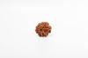 Natural 9 Mukhi Rudraksha Bead – Nepali Origin | Powerful Bead for Durga Blessings, Fear Removal, Vitality & Energy Shield | Organic & Lab Certified