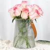 Decorative Hydroponic Vase Glass Handheld Vase Stable Hydroponic Planting Bottle  Home Decoration