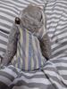 [USED] Overseas Teddy Bear (Donkey)