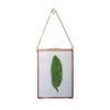 Golden Border Glass Photo Frame - Wall Hanging & Desktop Decorative Display