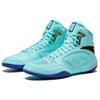 Anta Comfortable Non-Slip Durable High-Top Professional Wrestling Shoes Men Shoes Green Black Blue 412440103-7