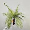 Artificial Green Persian Fern Leaf for Landscaping & Photography Props