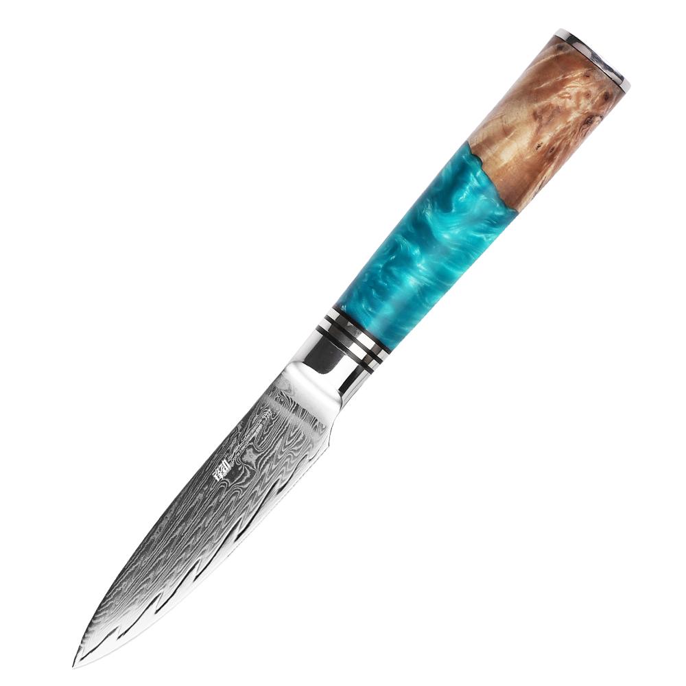 

FINDKING Роскошный нож для овощей с рукоятью из сапеле и синей смолы, 3,5 дюйма, сталь 9Cr18MoV, 67 слоев, дамасская сталь AUS-10, ножи для чистки фруктов 3.5 inch