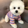 Striped Design Pet Long Sleeve Shirt Rainbow Two Legged Puppy Vest  Autumn Winter Season