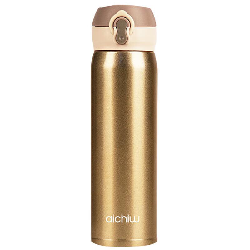Aichiw 450ml Stainless Steel Insulated Water Bottle