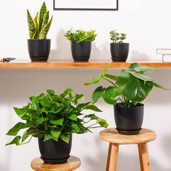 Flower Pot with Saucer Plastic Plant Pot with Drainage Holes Modern Decorative Planter
