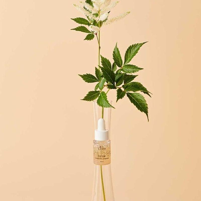 dajayeon Dajayeon Ginseng Ampoule 10ml X 3 Ginseng Ampoule 10ml X 3