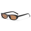Glasses Rectangular Tortoiseshell Frame Sunglasses Men'S Future Wind Sunglasses Women'S Insins