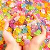 Luminous Resin Small Animal Ornaments - DIY Cartoon Micro-Landscape Series