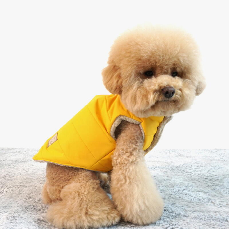 Grundlegende warme Polsterung Hund Winterkleidung