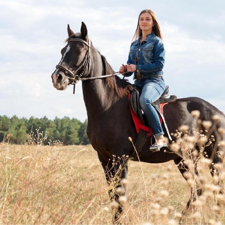 Retros Style Metal Spurs For Equestrians Use German Silver Embellished Traditional Western Horsemanship Spurs
