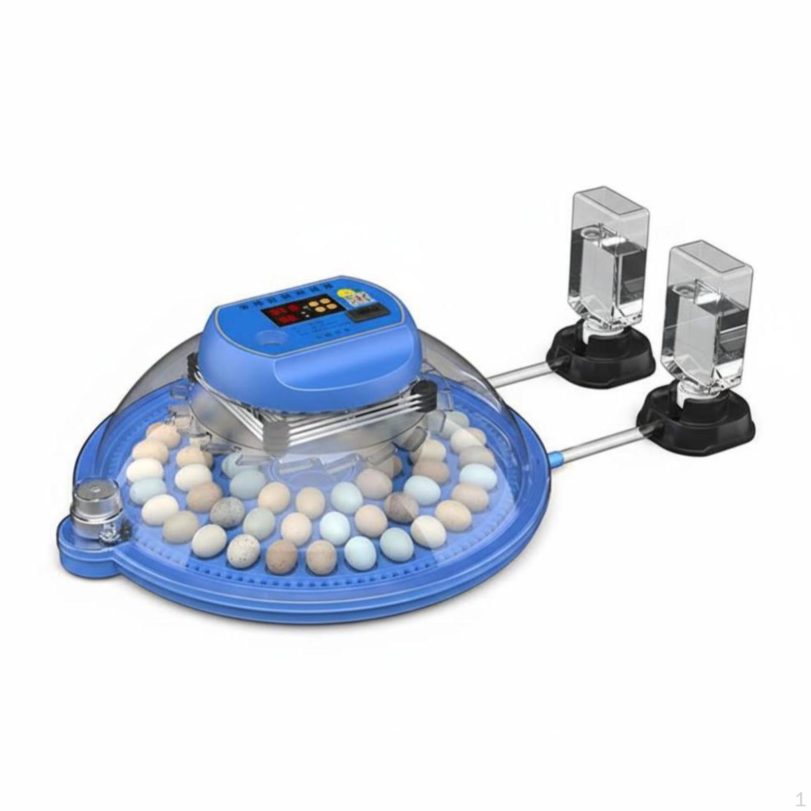 ovum Incubator, Automatic Temperature & Humidity Control, Hatching avian