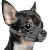 Cães – Focinheiras